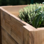 potager "Clémentine"