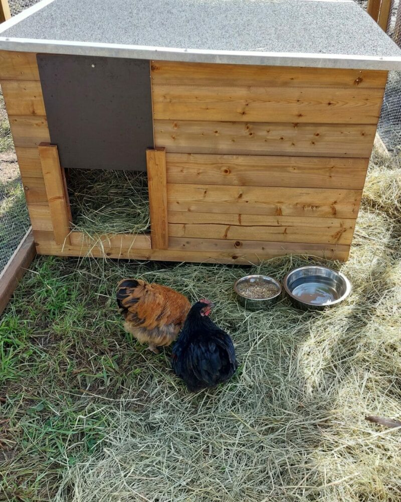 Image de la foire de Battice